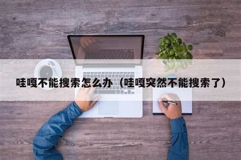 哇嘎搜索功能失效解决方法 2