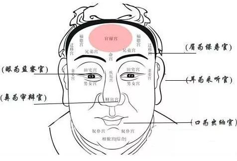 人们常说的‘五官’具体指的是哪五个部位？ 2