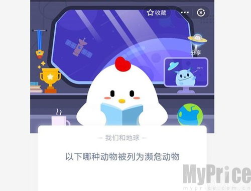 哪种动物能飞？蚂蚁庄园12月29日答案揭晓 2