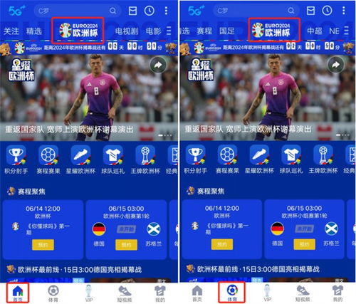 哪里可以观看2024年欧洲杯直播？ 3