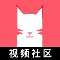 猫咪app视频正版 v1.1.4