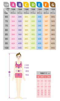 胸围98对应尺码是多少？ 2
