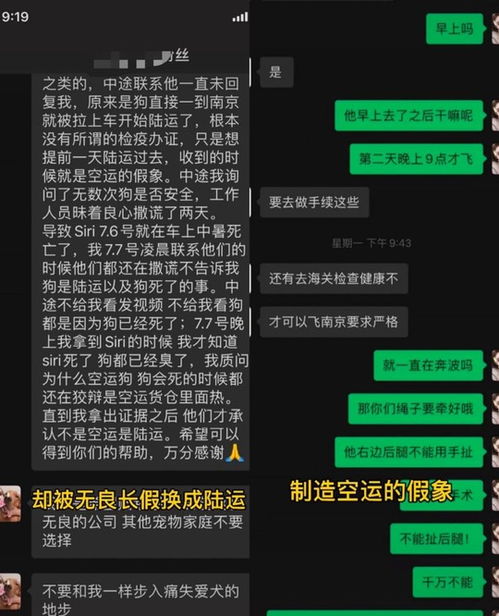 与“命”同音的词句 1