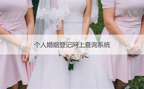 轻松掌握：婚姻记录查询系统使用指南 4