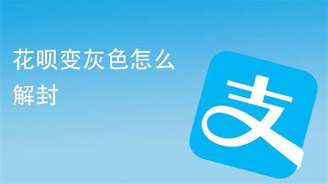 如何处理花呗与余额宝中被冻结的资金 1