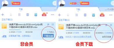 迅雷会员免费领取攻略 1