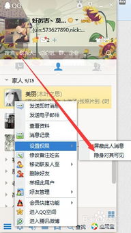 揭秘：如何巧妙设置QQ隐身状态，仅对特定好友显示在线 4