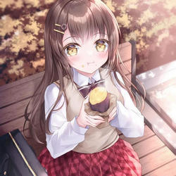 番薯动漫纯净版