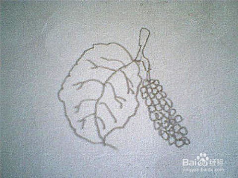 轻松学会：芭蕉扇简笔画绘制步骤 1