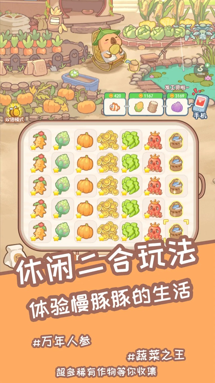 慢豚豚的生活2025最新版