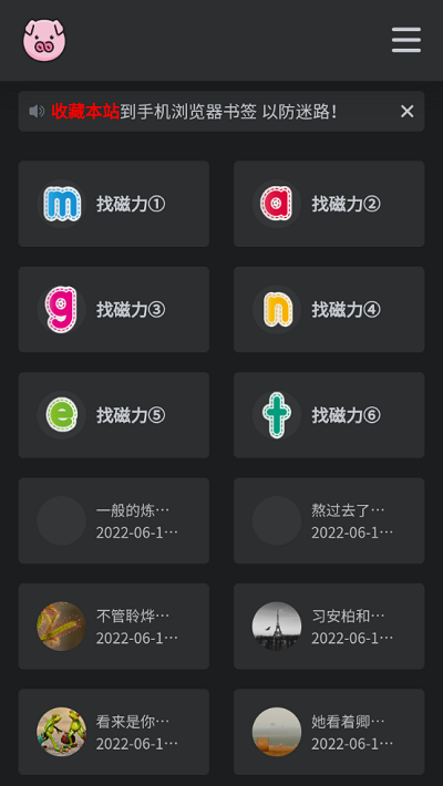 bt磁力猪官方