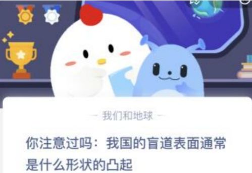 揭秘蚂蚁庄园：我国盲道上的神秘凸起，究竟是什么形状？ 1