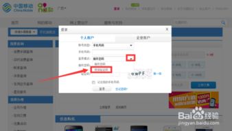 掌握技巧：轻松在网上查询移动用户话费账单 2