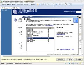 如何在Windows Server 2003上创建并配置DNS服务器？ 2