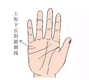 揭秘手相奥秘：超精准解读技巧 2