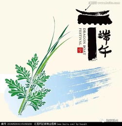 艾草菖蒲简易线条画教程 4