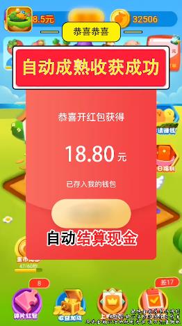 一号农场种菜赚钱