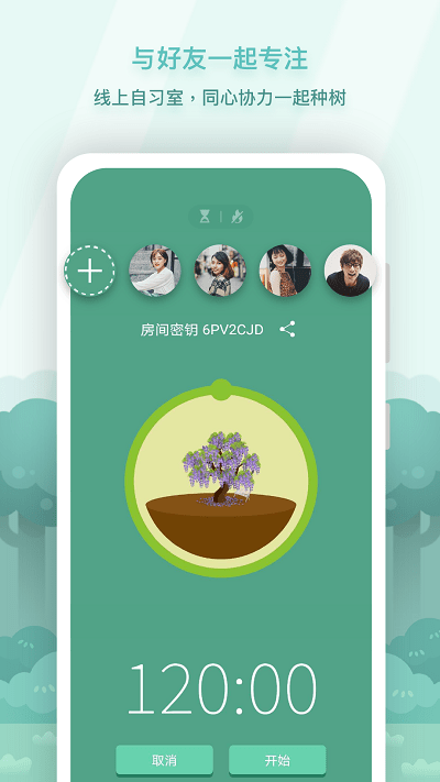 forest专注森林中文版