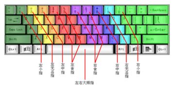 如何在电脑键盘上打出对号√ 1