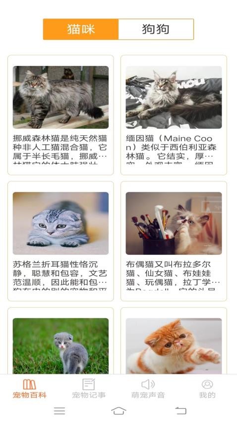 萌宠小能手最新版