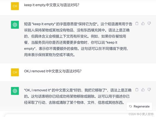 如何正确使用'as well'这一表达及其常见用法是什么？ 2