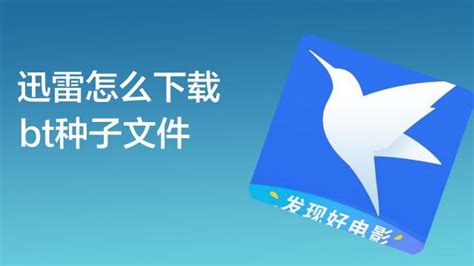 利用迅雷高效下载电视剧及新下线高清电影指南 2
