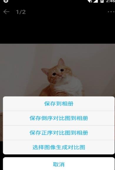 猫咪记账本