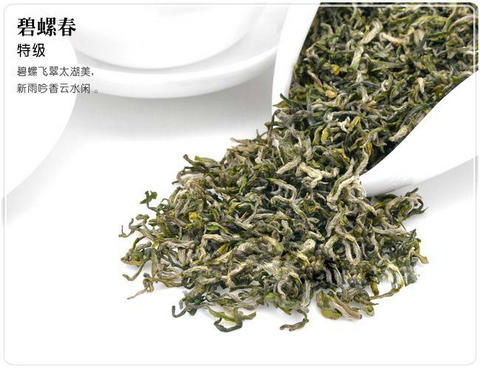 怎样泡制出完美的碧螺春茶？ 1