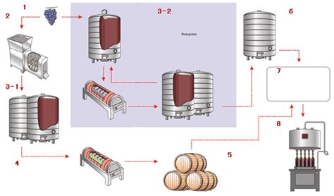 高效优化葡萄酒酿造全流程解析 2