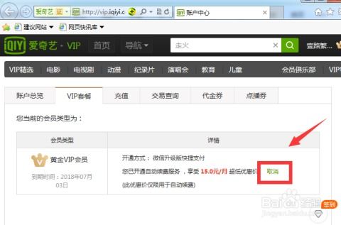 怎样轻松关闭爱奇艺VIP自动续费？详细步骤助你省心！ 1