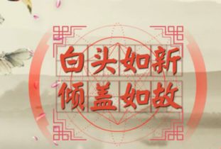 她言：白发初遇似新知，倾盖相交情如故 2