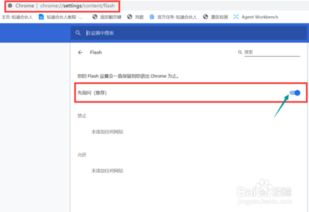 解决最新版Chrome无法加载Flash的方法 3