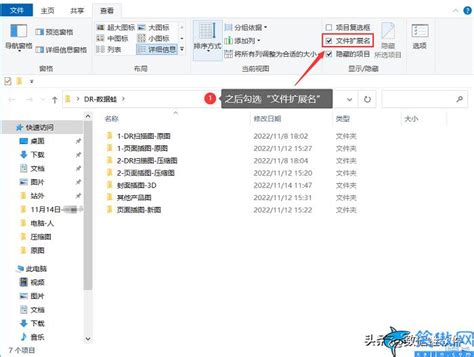 掌握WIN10小窍门：轻松隐藏或展示文件后缀名 4