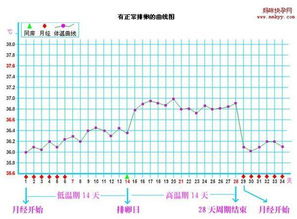 解读体温表及正常体温范围指南 2
