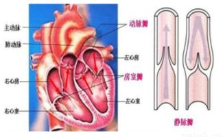 掌握单词“abreast”的精髓与实战应用 2