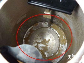 电热水壶水垢烦恼？七大神奇妙招轻松解决！ 1