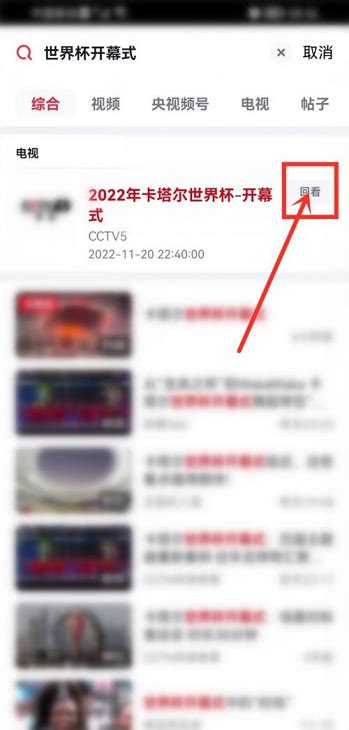 如何观看卡塔尔世界杯直播回放？央视频观看指南！ 2