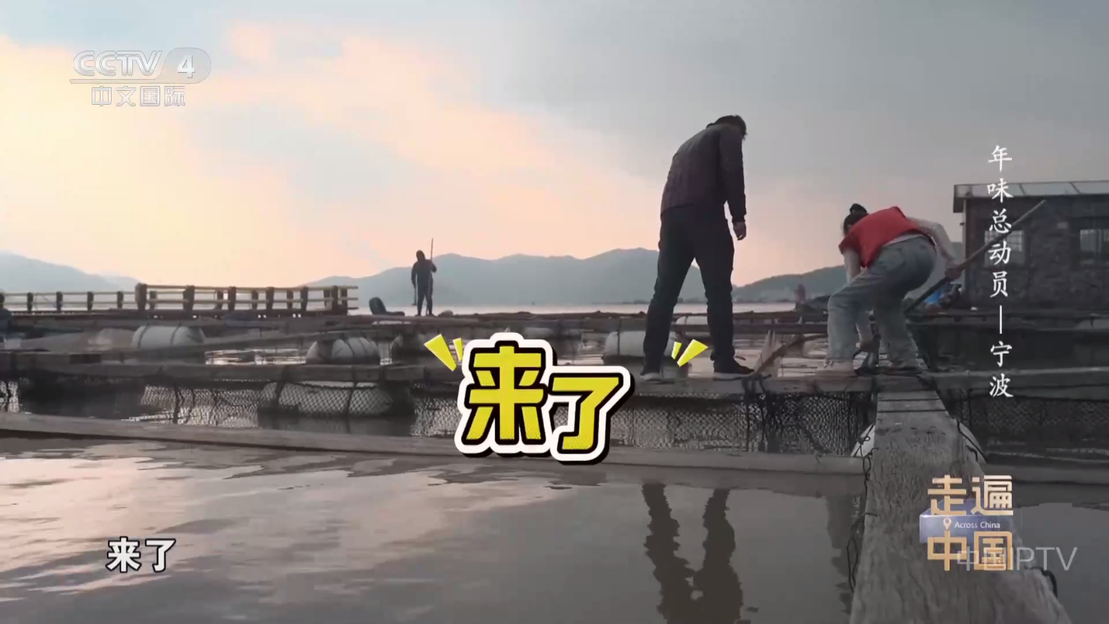 网络电视直播