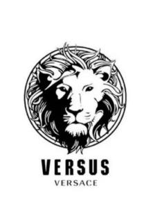 揭秘'Versus'：这个神秘品牌背后的时尚力量与独特魅力！ 2