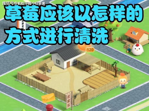蚂蚁新村海浪村如何获取？ 1