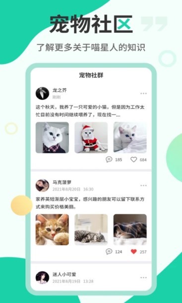 猫语翻译机app