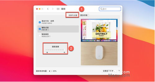 如何在Mac系统上轻松调整鼠标灵敏度 2