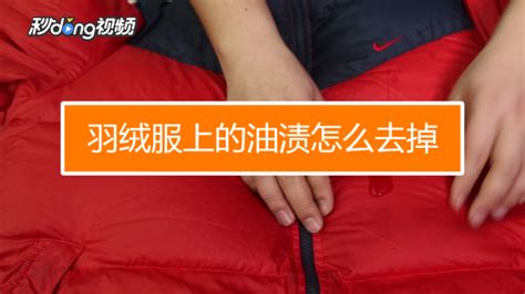 有效清洗羽绒服油渍的方法 2