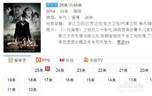怎样快速下载并观看电视剧《一代枭雄》？ 2