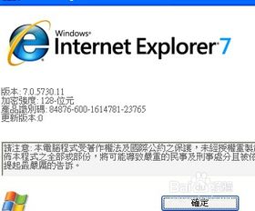 如何查看Internet Explorer（IE）浏览器的版本号 3