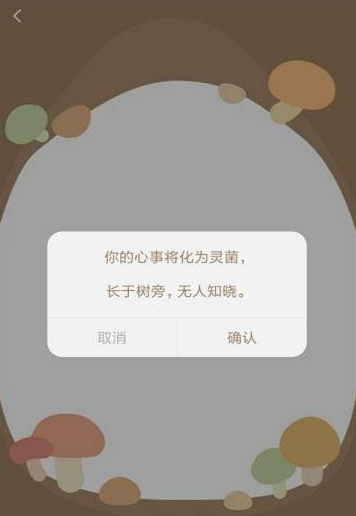 树洞菌2025