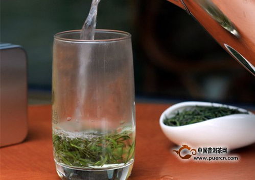 毛尖茶应该怎么正确冲泡？ 3