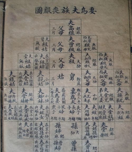 数代人厘定五服范围 2