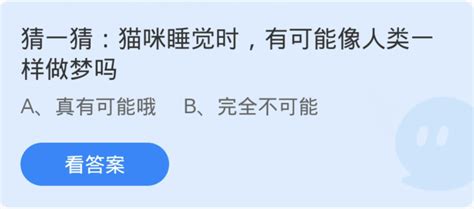 猫咪睡眠中是否会如人类般做梦探究 1