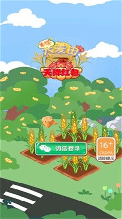 丰收大麦田红包版